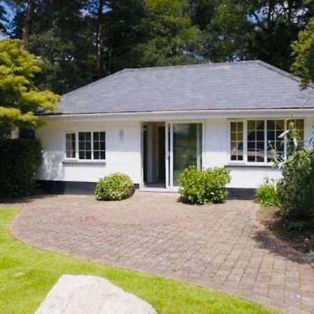 Chadham Pines Cottage بول المظهر الخارجي الصورة