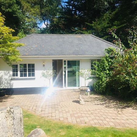 Chadham Pines Cottage بول المظهر الخارجي الصورة