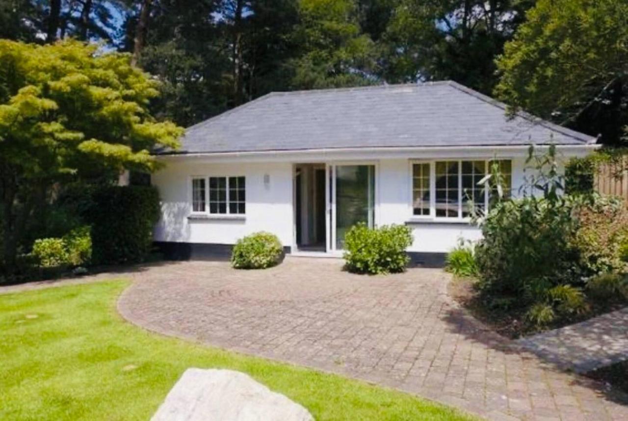 Chadham Pines Cottage بول المظهر الخارجي الصورة